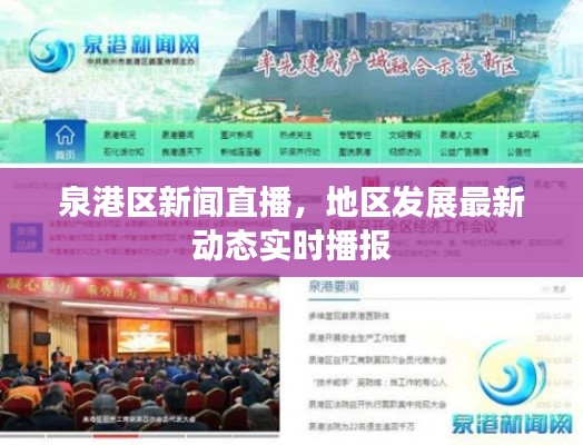 泉港区新闻直播，地区发展最新动态实时播报