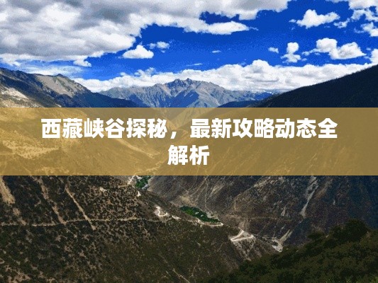 西藏峡谷探秘，最新攻略动态全解析