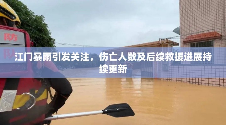 江门暴雨引发关注，伤亡人数及后续救援进展持续更新