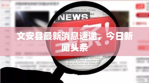 文安县最新消息速递，今日新闻头条