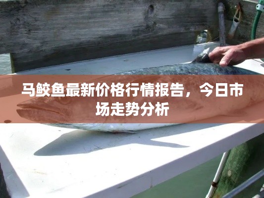 贵极人臣 第2页