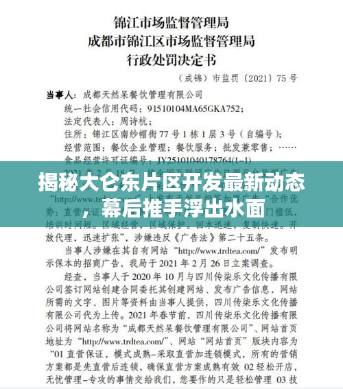 揭秘大仑东片区开发最新动态，幕后推手浮出水面