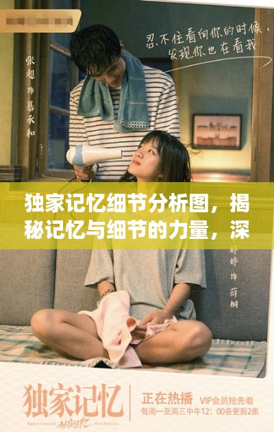 独家记忆细节分析图，揭秘记忆与细节的力量，深度解读引人瞩目