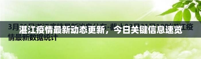 湛江疫情最新动态更新，今日关键信息速览