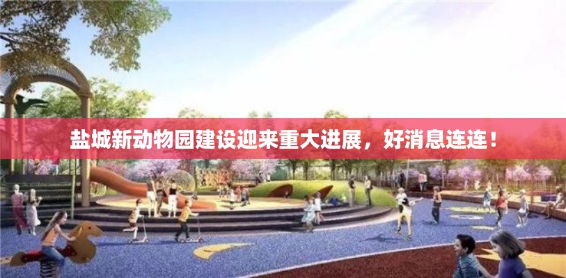 盐城新动物园建设迎来重大进展，好消息连连！