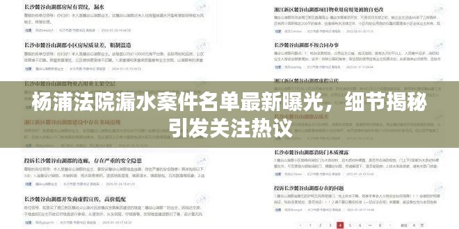 杨浦法院漏水案件名单最新曝光，细节揭秘引发关注热议