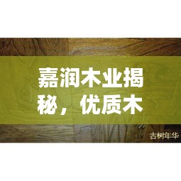 嘉润木业揭秘，优质木材的奥秘探索