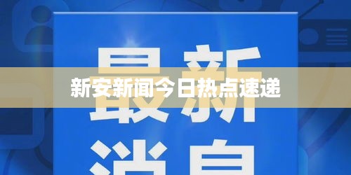 新安新闻今日热点速递