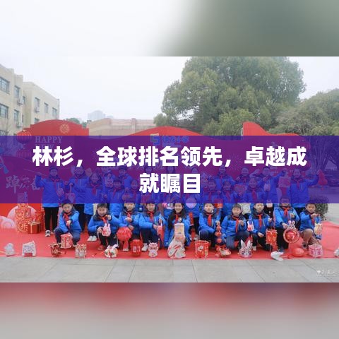 林杉，全球排名领先，卓越成就瞩目