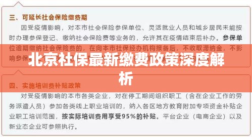 北京社保最新缴费政策深度解析
