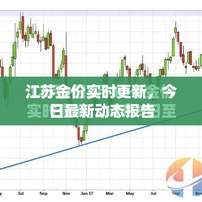 江苏金价实时更新，今日最新动态报告