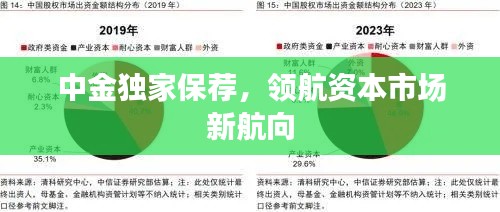 中金独家保荐，领航资本市场新航向