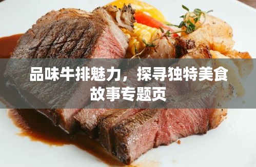 品味牛排魅力，探寻独特美食故事专题页