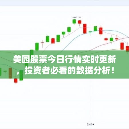 美园股票今日行情实时更新，投资者必看的数据分析！