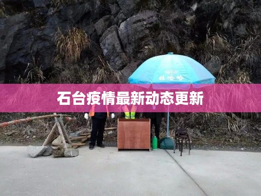 石台疫情最新动态更新