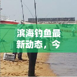 滨海钓鱼最新动态，今日消息一网打尽！