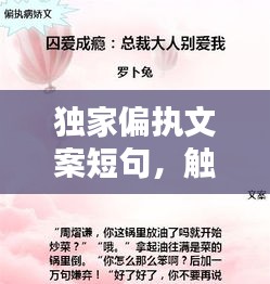 独家偏执文案短句，触动心灵深处的伤感旋律