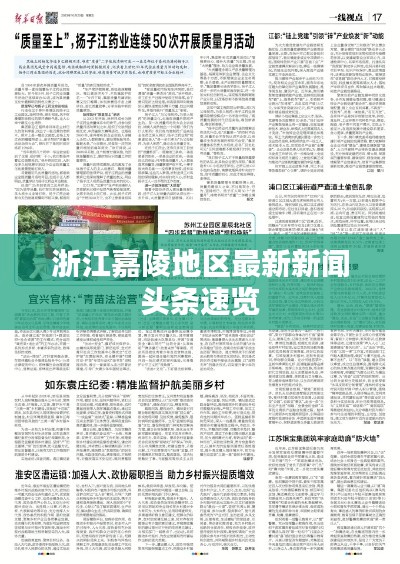 浙江嘉陵地区最新新闻头条速览