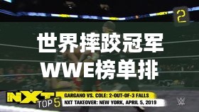 世界摔跤冠军WWE榜单排名揭晓！
