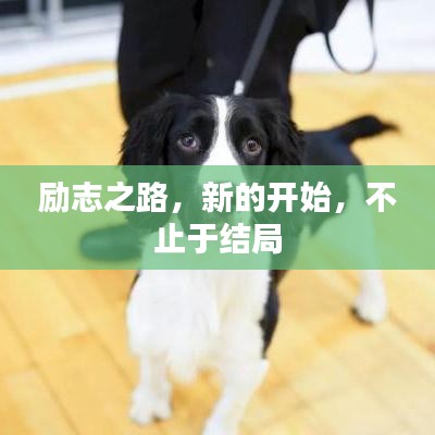 伤弓之鸟 第2页
