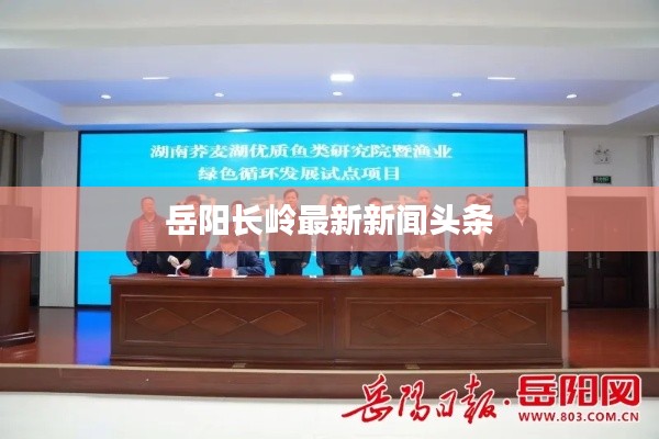 岳阳长岭最新新闻头条
