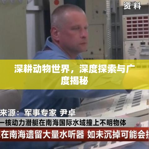 深耕动物世界，深度探索与广度揭秘