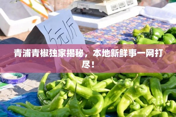 青浦青椒独家揭秘，本地新鲜事一网打尽！