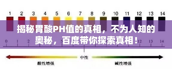 揭秘胃酸PH值的真相，不为人知的奥秘，百度带你探索真相！