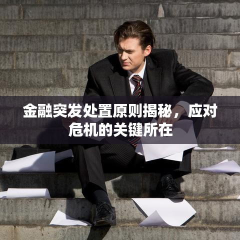 金融突发处置原则揭秘，应对危机的关键所在