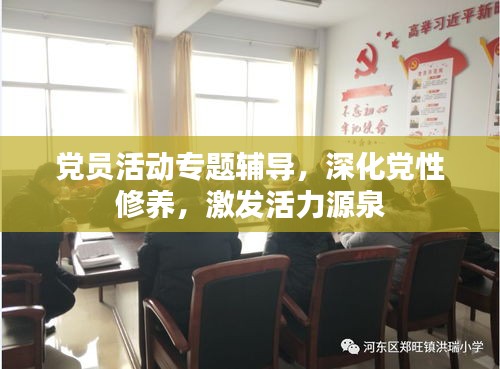 党员活动专题辅导，深化党性修养，激发活力源泉