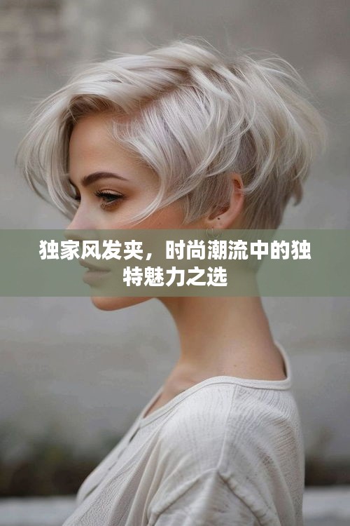 独家风发夹，时尚潮流中的独特魅力之选