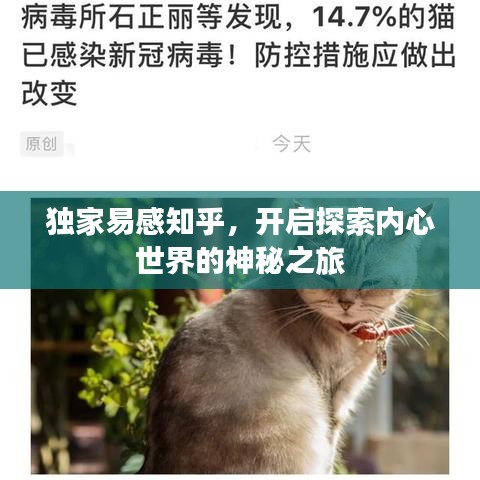 独家易感知乎，开启探索内心世界的神秘之旅
