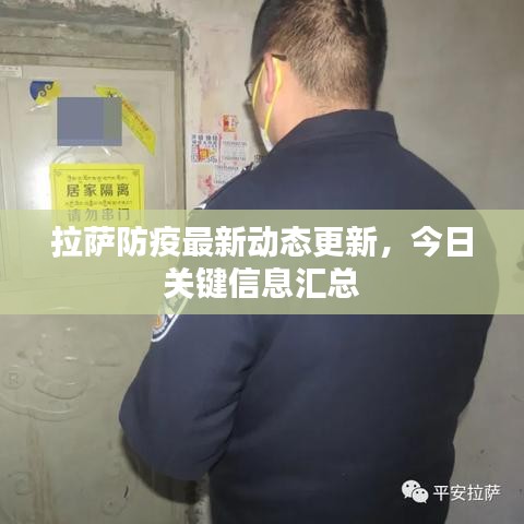 拉萨防疫最新动态更新，今日关键信息汇总