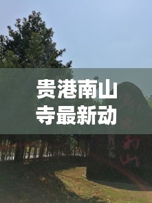 贵港南山寺最新动态新闻头条
