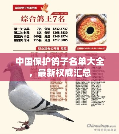中国保护鸽子名单大全，最新权威汇总