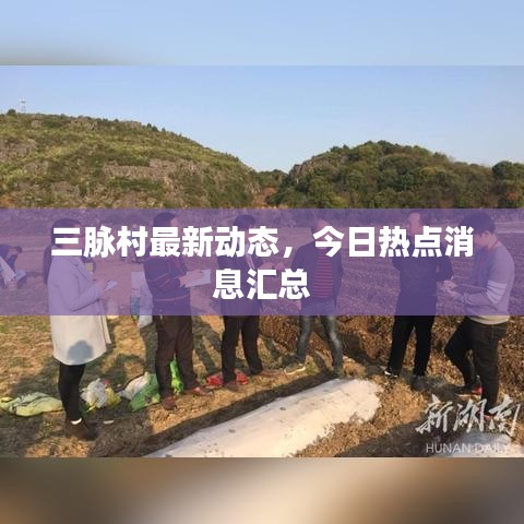 三脉村最新动态，今日热点消息汇总