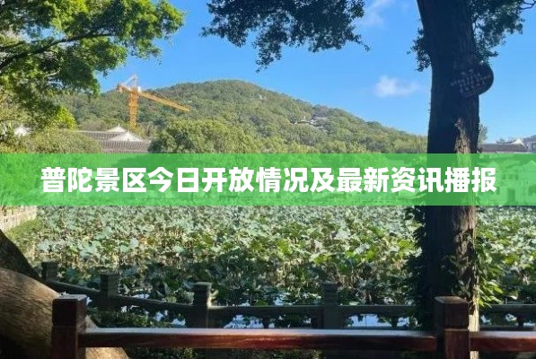 普陀景区今日开放情况及最新资讯播报