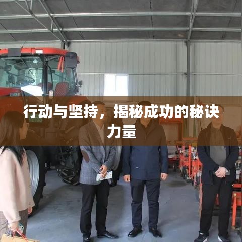 行动与坚持，揭秘成功的秘诀力量
