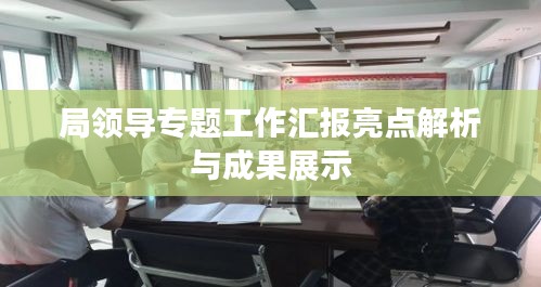 局领导专题工作汇报亮点解析与成果展示