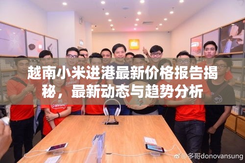 越南小米进港最新价格报告揭秘，最新动态与趋势分析
