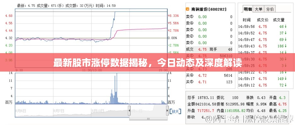 最新股市涨停数据揭秘，今日动态及深度解读