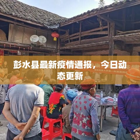 彭水县最新疫情通报，今日动态更新