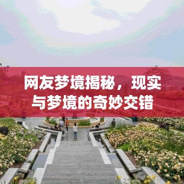 网友梦境揭秘，现实与梦境的奇妙交错