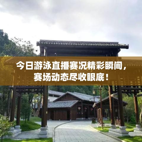 今日游泳直播赛况精彩瞬间，赛场动态尽收眼底！