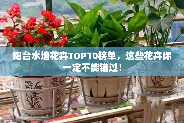 阳台水培花卉TOP10榜单，这些花卉你一定不能错过！