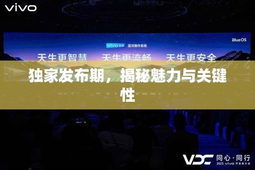 独家发布期，揭秘魅力与关键性