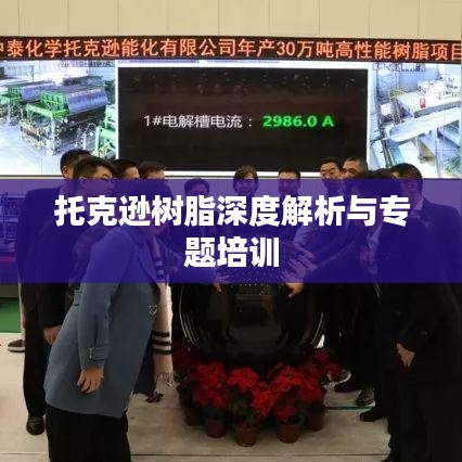 托克逊树脂深度解析与专题培训