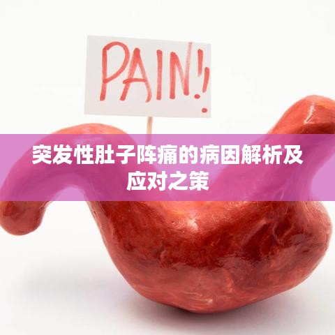突发性肚子阵痛的病因解析及应对之策