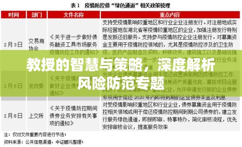 教授的智慧与策略，深度解析风险防范专题