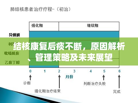 结核康复后痰不断，原因解析、管理策略及未来展望
